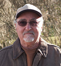 David Saperstein, author