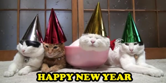 Happy New Year Cats