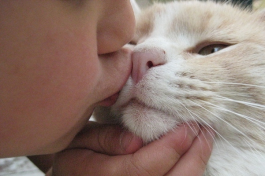 kid kissing cat