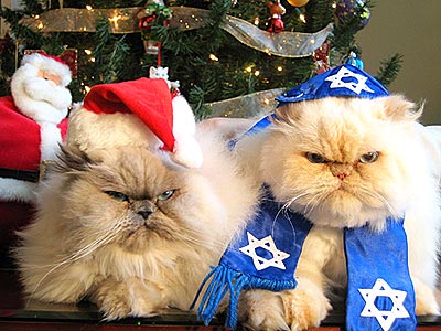 Holiday-cats_hanukkah-and-xmas1
